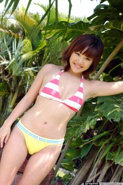 僵尸新战士